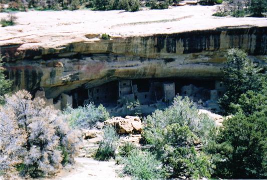 [The Mesa Verde Cliff Dwellings from a distance.]